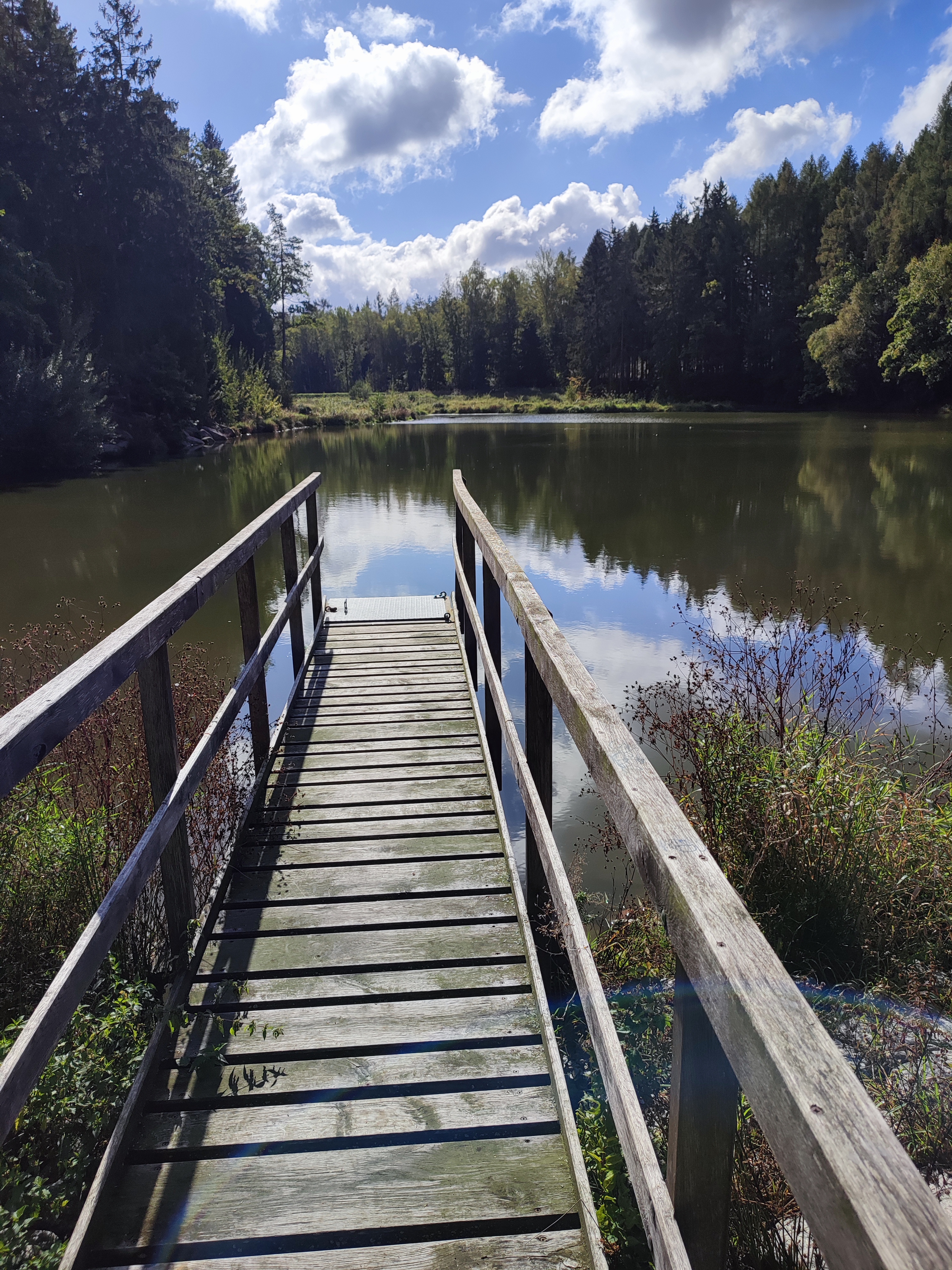 Rybník 10